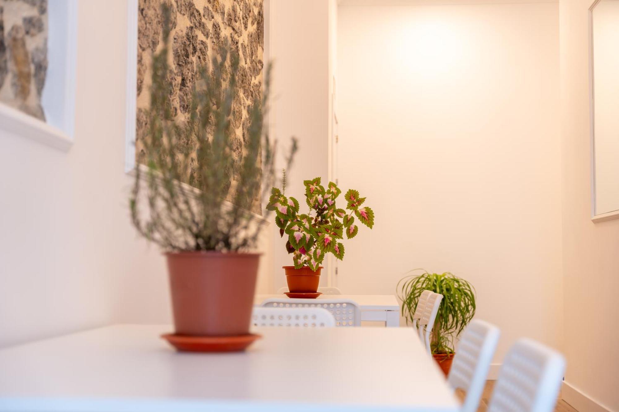 La Bahia Rooms サンタンデール エクステリア 写真